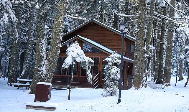 Uludağ'a kar yağdı, Orman Evleri'ne ilgi arttı