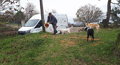Ünye'de, belediye tarafından üretilen 4 ton kuru mama sokak hayvanlarına dağıtıldı
