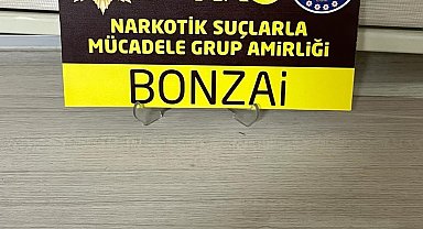Uyuşturucu ile yakalanan 2 şüpheli gözaltına alındı