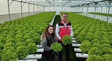 Uzman Eller Projesi ile gençler tarıma yöneliyor