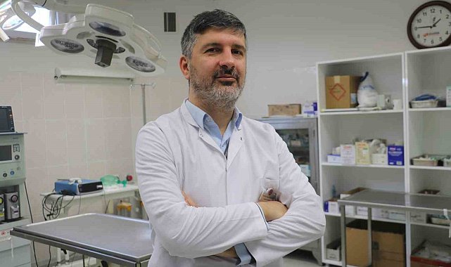 Uzmanı uyardı: "Bu dönemde ormanlık alanlardan uzak durun"