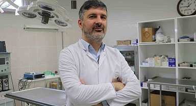 Uzmanı uyardı: "Bu dönemde ormanlık alanlardan uzak durun"