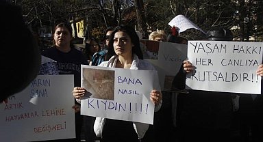 Vahşice telef edilen kedi için hayvanseverlerden tepki