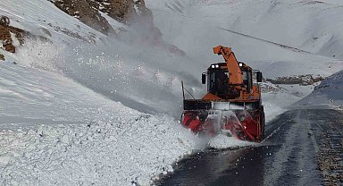 Van Bahçesaray yoluna düşen çığ bölgeleri temizleniyor
