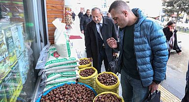 Van'da 'Çin kestanesi' denetimi