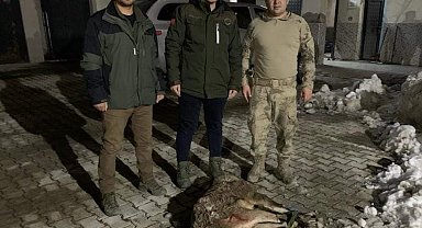 Van'da yaban keçisi avlayan 2 kişiye 314 bin 576 lira idari para cezası kesildi