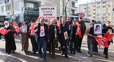 Vanlı annelerin evlat nöbeti sürüyor