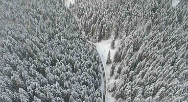 Yağan karın tadını çıkarttılar