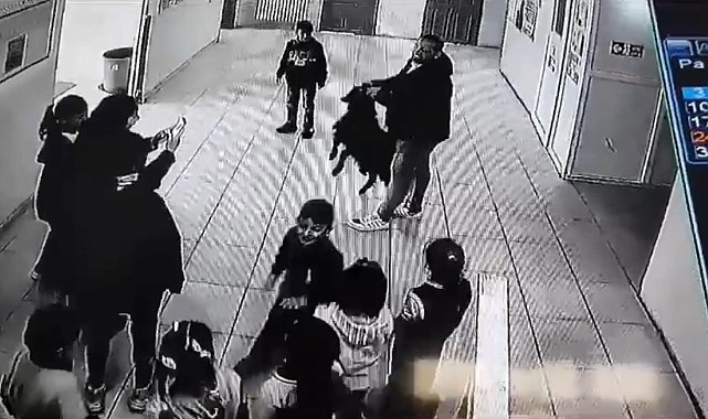 Yağmurdan kaçan keçi okula sığındı
