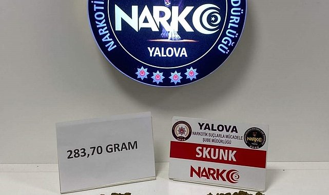 Yalova'da uyuşturucu operasyonu: 1 tutuklama