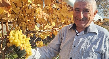 Yaz meyvesi üzümü yılbaşı akşamında tüketecek