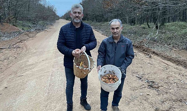 Yoğun yağış mantarsevenleri ormana döktü
