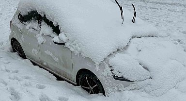 Yüksekova'da tek katlı evler ve araçlar kara gömüldü