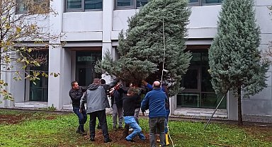 ZBEÜ'de Fırtınada Zarar Gören 68 Ağaca Destek Yapıldı