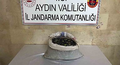 Zeytin hırsızları suçüstü yakalandı