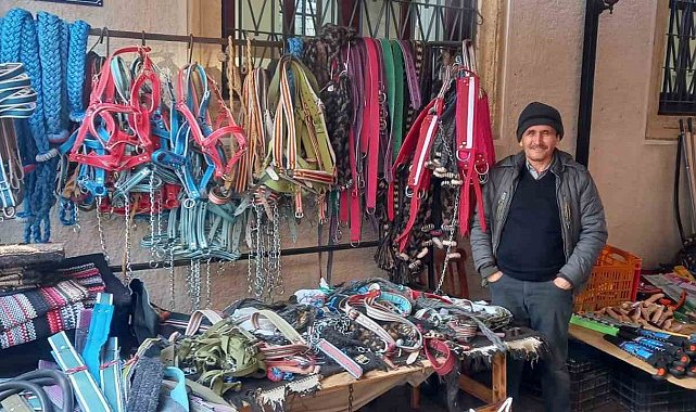 Zeytinde 'yok yılı' urgancıları zora soktu