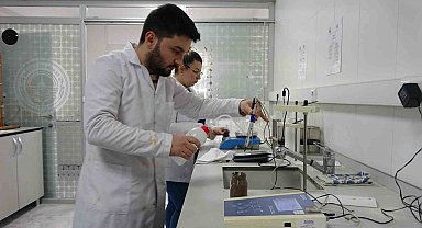 Zeytinin verimliliği için toprak analizleri başladı