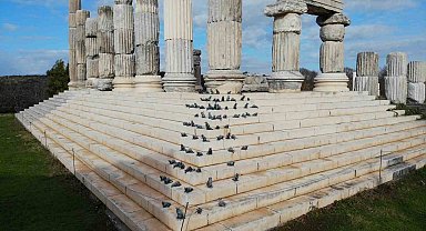 'Apollon Smintheus Tapınağı'nda ziyaretçileri fareler karşılıyor