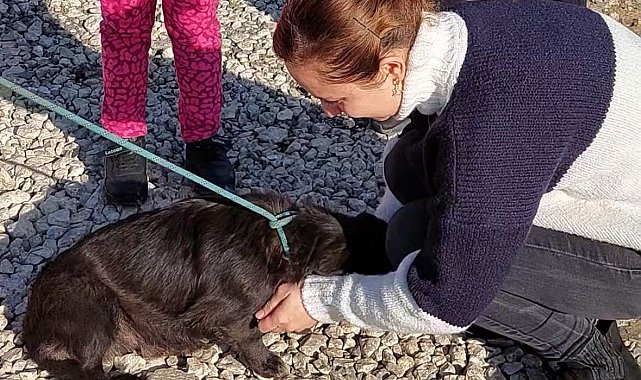 7 aydır kayıp köpeğin sahibi ile buluşma anı duygulandırdı