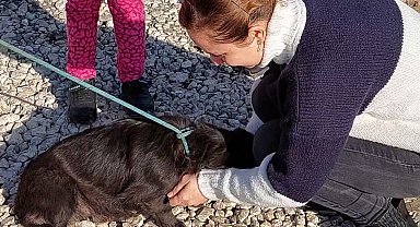 7 aydır kayıp köpeğin sahibi ile buluşma anı duygulandırdı
