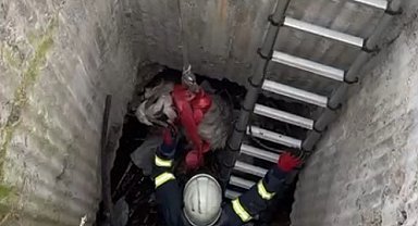 7 metrelik kuyuya düşen keçi için seferber oldular