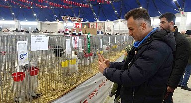 7. Ulusal Kümes Hayvanları Gösterisi'nde bin 500'ün üzerinde süs tavuğu ve kanatlı hayvan görücüye çıktı
