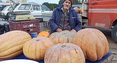 71 yaşında ekmeğinin peşinde