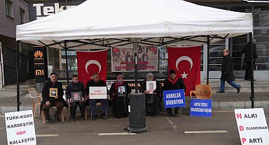 Acılı anne: "Yeni yıla girdik ama ciğerimiz yanık, evlatlarımız yok"