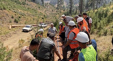 Adana'da ormandan 2.3 milyar TL gelir elde edildi