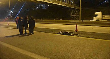 Adana'da otoyolda tırın çarptığı kadın öldü