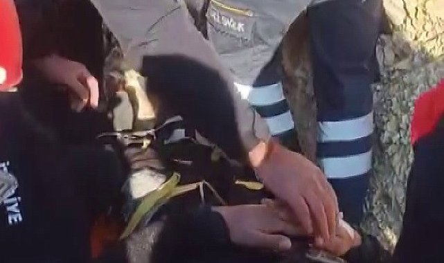 Adıyaman'da paraşüt kazası