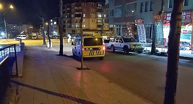 Ağabey ve kardeşin kavgası kanlı bitti