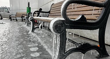 Ağrı'da kar yağışının ardından don etkili oldu