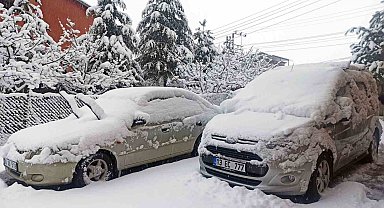 Ahlat'ta yoğun kar yağışı