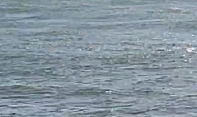 Alabora olan bottaki iki kişiyi balıkçılar kurtardı