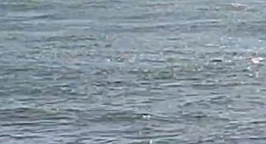 Alabora olan bottaki iki kişiyi balıkçılar kurtardı