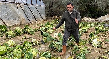 Alanya'da sağanak yağış sera ürünlerine hasar verdi