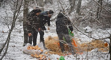 Amanos Dağları'nın karlı yolları, yiyecek bulmakta güçlük çeken hayvanlar için aşıldı
