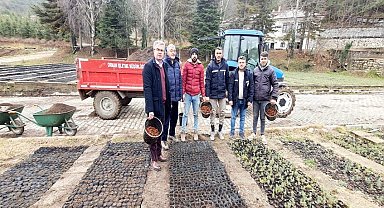 Amasya'da ormancılık faaliyetlerine 152 milyon TL'den fazla yatırım yapıldı