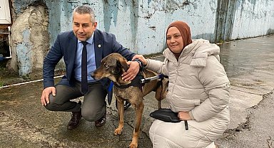 Arabanın çarptığı sokak köpeği gönüllülerin desteği ile hayata tutundu
