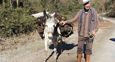 Araç kullanamadığı için eşekle yük çekiyor