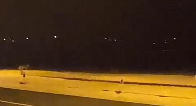 Ardahan'da aç kalan kurtlar şehir merkezine indi