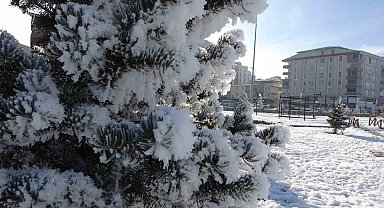 Ardahan'da dondurucu soğukları: Göle -29,8 derece