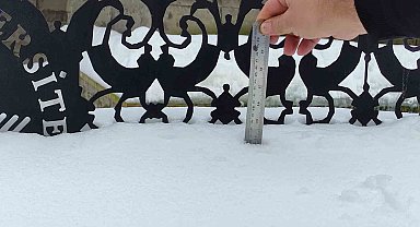 Ardahan'da kar hayatı felç etti