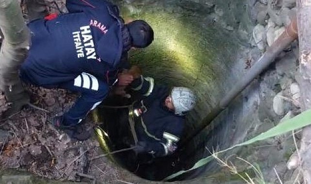 Arsuz'da kuyuya düşen yavru köpeği itfaiye kurtardı