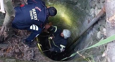 Arsuz'da kuyuya düşen yavru köpeği itfaiye kurtardı