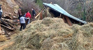 Artvin'de ahır çöktü: 2 hayvan telef oldu