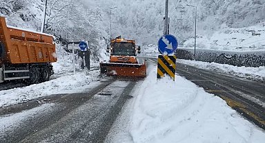 Artvin'de kar yağışı Hopa-Borçka karayolunu olumsuz etkiledi