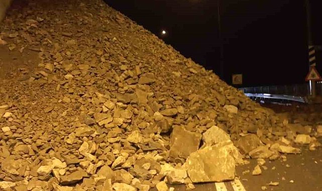 Artvin'de sağanak yağış heyelanlara neden oldu