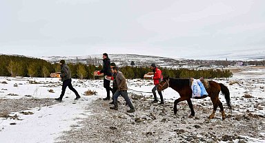 At sırtında yaban hayvanları için doğaya yem bırakıldı